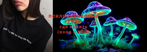 ГАЛЛЮЦИНОГЕННЫЕ ГРИБЫ Алексеевка