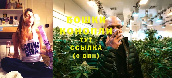 ГАЛЛЮЦИНОГЕННЫЕ ГРИБЫ Алексеевка