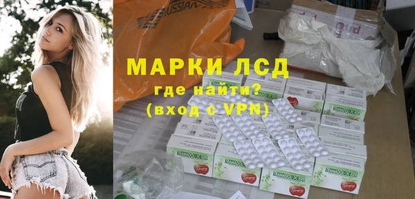 твердый Новодвинск