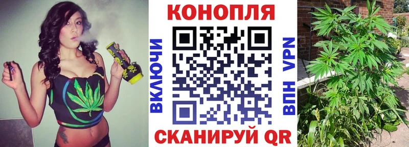 Каннабис гибрид Снежногорск